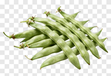 Green Bean Pods PNG
