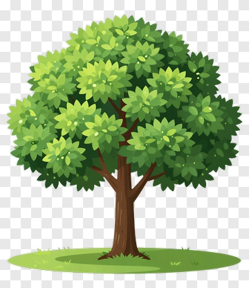 Colorful Tree PNG