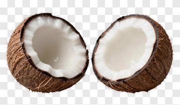 Coconut Half With White Flesh PNG