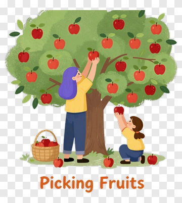 Picking Fruits With A Tree Full Of Apples PNG