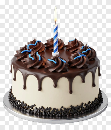 Chocolate Birthday Cake With Candle PNG