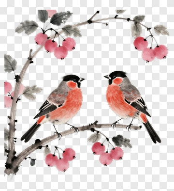 Two Birds Sitting On A Branch With Pink Berries PNG