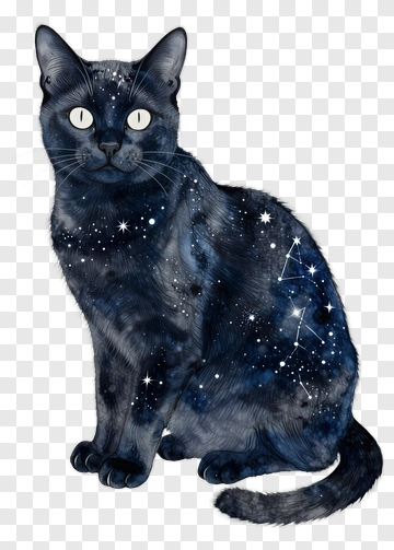 Cosmic Black Cat PNG