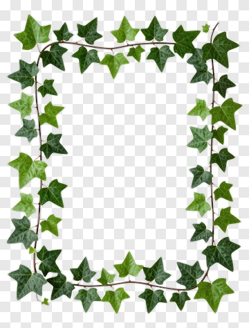Ivy Leaf Frame PNG