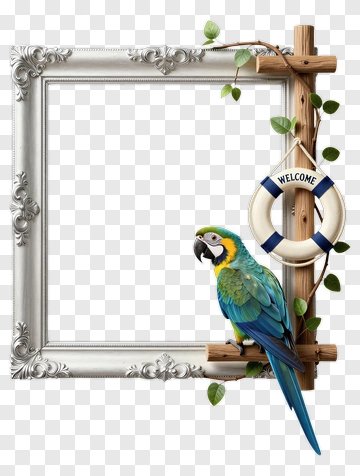 Colorful Macaw Parrot With Welcome Frame PNG