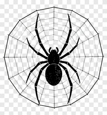 Spider In A Web PNG