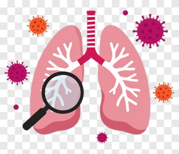 Illustration Of Lungs With Virus And Magnifying Glass PNG