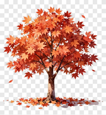 Colorful Maple Tree With Autumn Leaves PNG