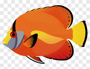 Colorful Fish PNG
