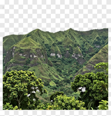 Lush Green Mountain Landscape PNG