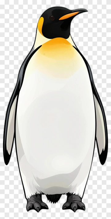 Cartoon Emperor Penguin PNG