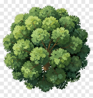 Green Tree PNG