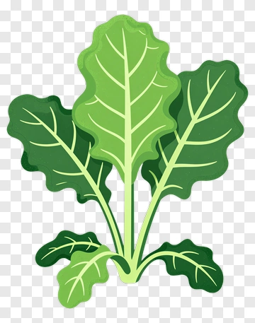 Colorful Leafy Greens PNG