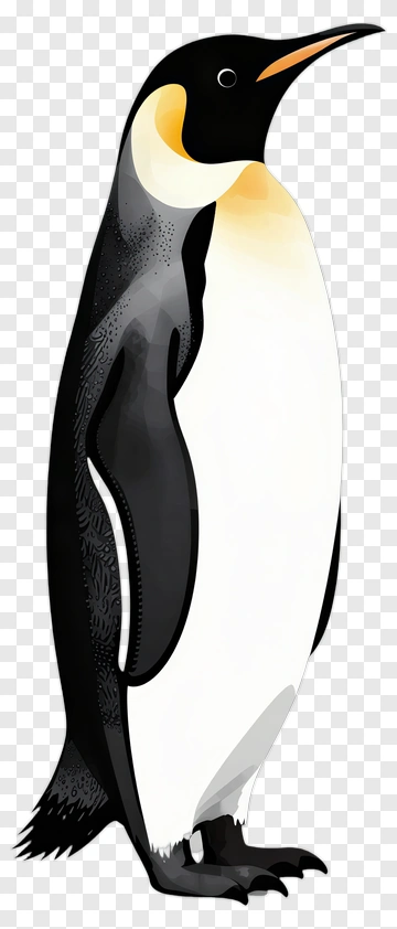 Cartoon Emperor Penguin PNG
