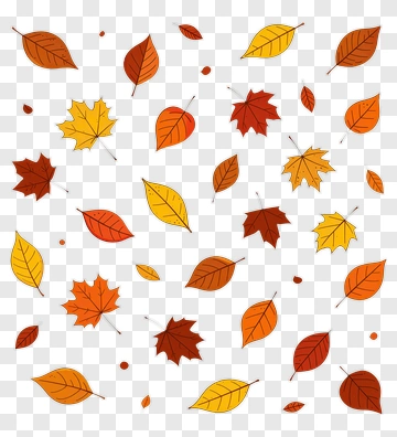 Colorful Autumn Leaves PNG