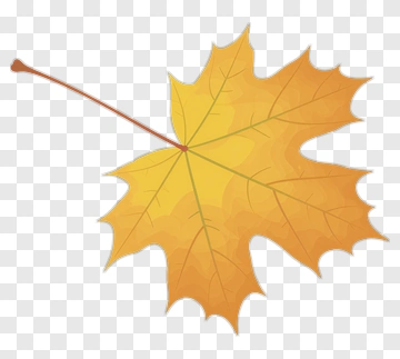 Yellow Maple Leaf PNG