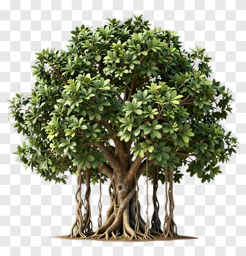 Realistic Tree With Lush Green Foliage PNG