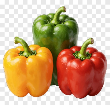 Colorful Bell Peppers PNG