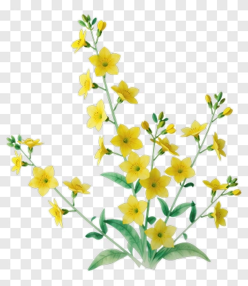 Yellow Flower Bouquet PNG