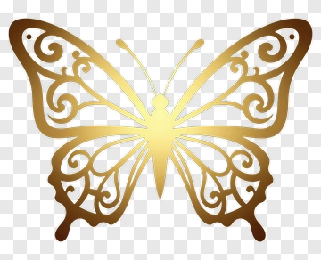 Decorative Butterfly With Intricate Design PNG