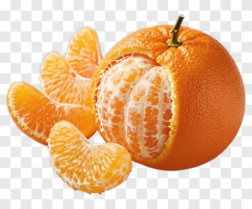 Fresh Orange With Segments PNG