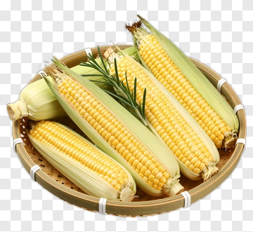 Fresh Corn On The Cob In A Bamboo Basket PNG