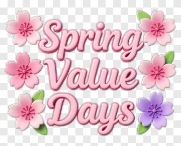 Spring Value Days With Flowers PNG