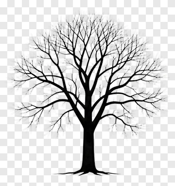Silhouette Tree With Bare Branches PNG