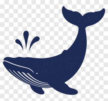 Whale With Water Splash PNG
