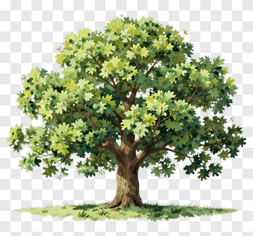 Colorful Tree PNG