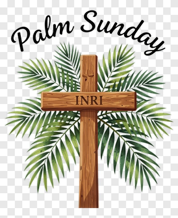 Palm Sunday Cross With Palm Leaves PNG