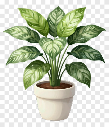 Potted Green Plant With Variegated Leaves PNG