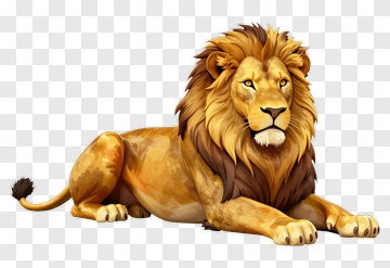 Realistic Lion With A Majestic Mane PNG