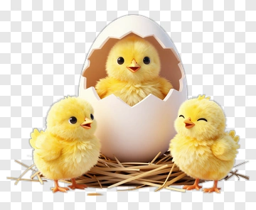 Cute Chicks Hatching From Eggs PNG