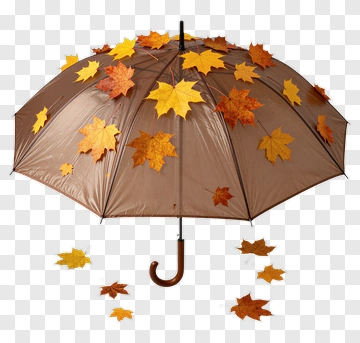 Umbrella With Autumn Leaves PNG