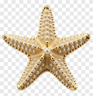 Gold Starfish With Pearls PNG