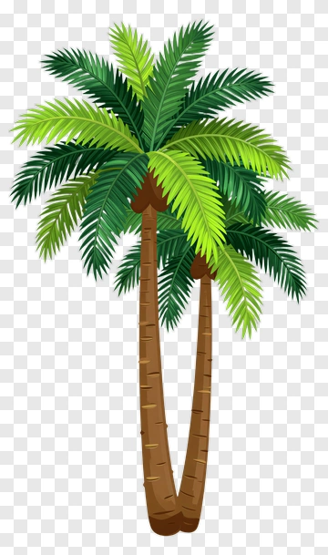 Colorful Palm Trees PNG