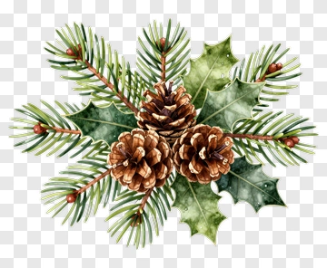 Pine Cones And Holly Leaves Arrangement PNG