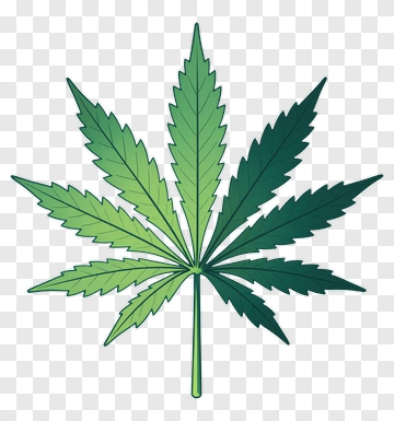 Green Cannabis Leaf PNG