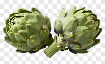 Artichokes PNG