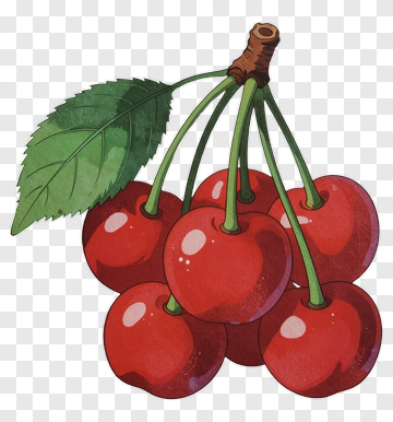 Cartoon Cherry Bunch PNG