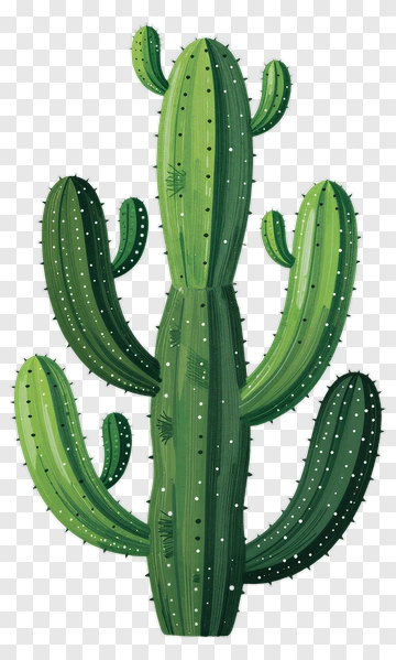 Green Cactus PNG