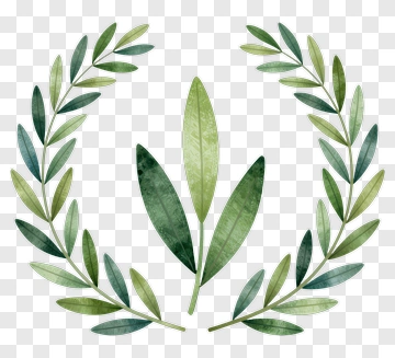 Green Leaf Wreath PNG