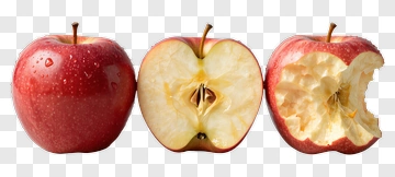 Red Apple With Bite And Cross Section PNG
