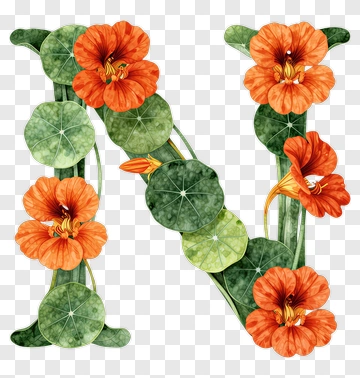 Floral Letter N With Orange Flowers And Green Leaves PNG