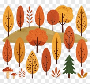 Colorful Autumn Trees And Foliage PNG