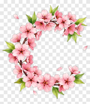 Cherry Blossom Floral Wreath PNG