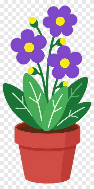 Colorful Flower Pot With Purple Flowers PNG