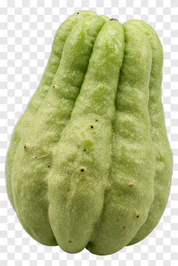 Green Chayote Squash PNG