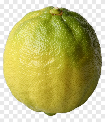 Lime Fruit PNG